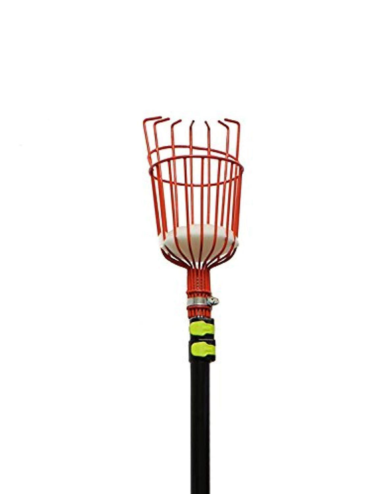 7Penn Apple Picking Fruit Tree Picker Tool with Metal Basket and Light Aluminum 4.5 to 13’ Feet Telescoping Grabber Pole