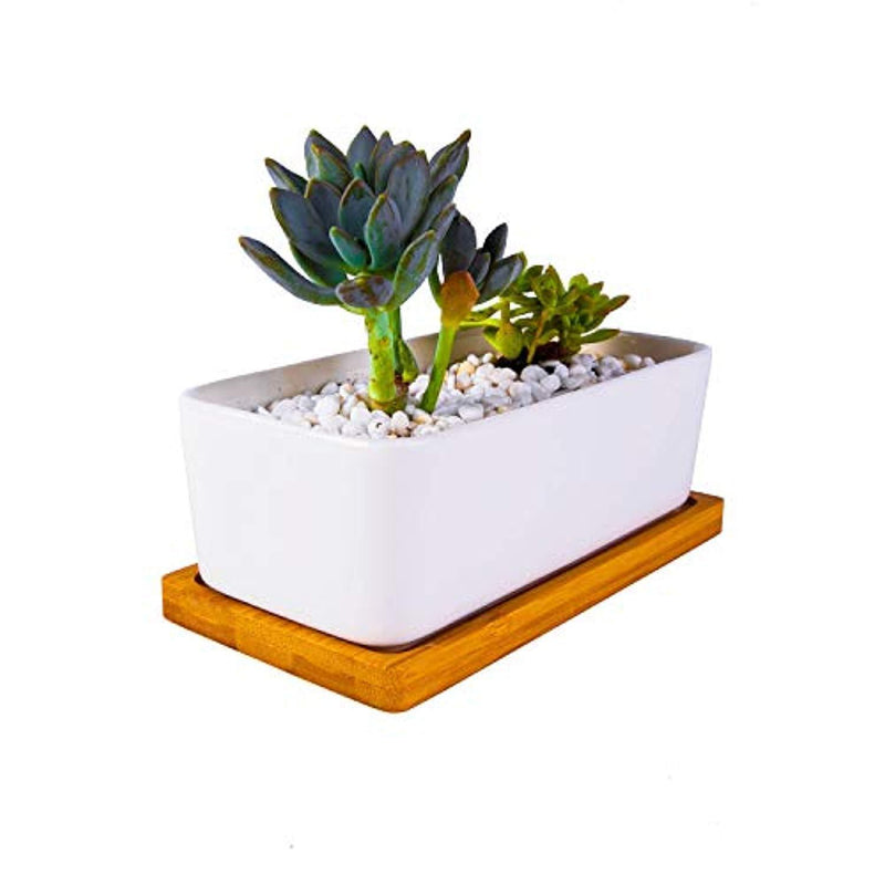 6.5 Inch Ceramic Rectangle Succulent Planter with Bamboo Saucer, Set of 2, White Modern Indoor Cactus/Flower Plant Pot with Drainage, Decoration for Desks/Bookshelves / Window Sills (A)