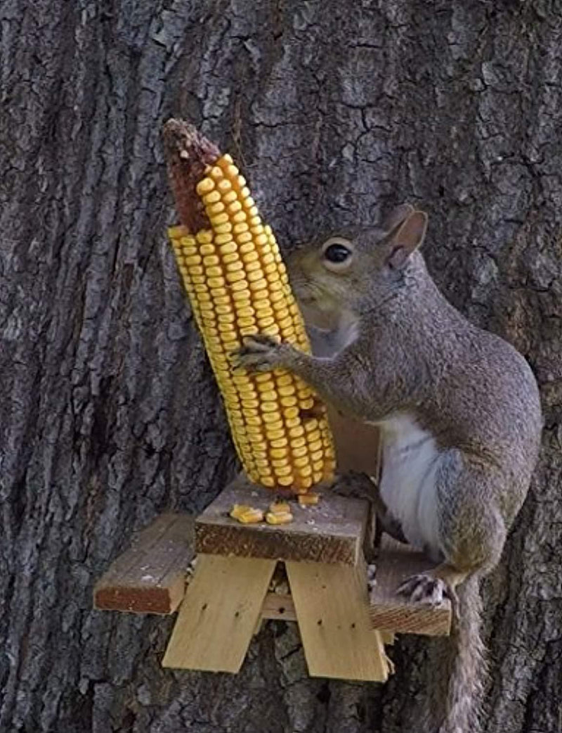 Picnic Table Squirrel Feeder