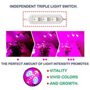 [New] Plant Grow Light with Premium Triple LED Heads, Detachable 360 Degrees Adjustable Gooseneck, Perfect for in-Door Plants' Growth/Health