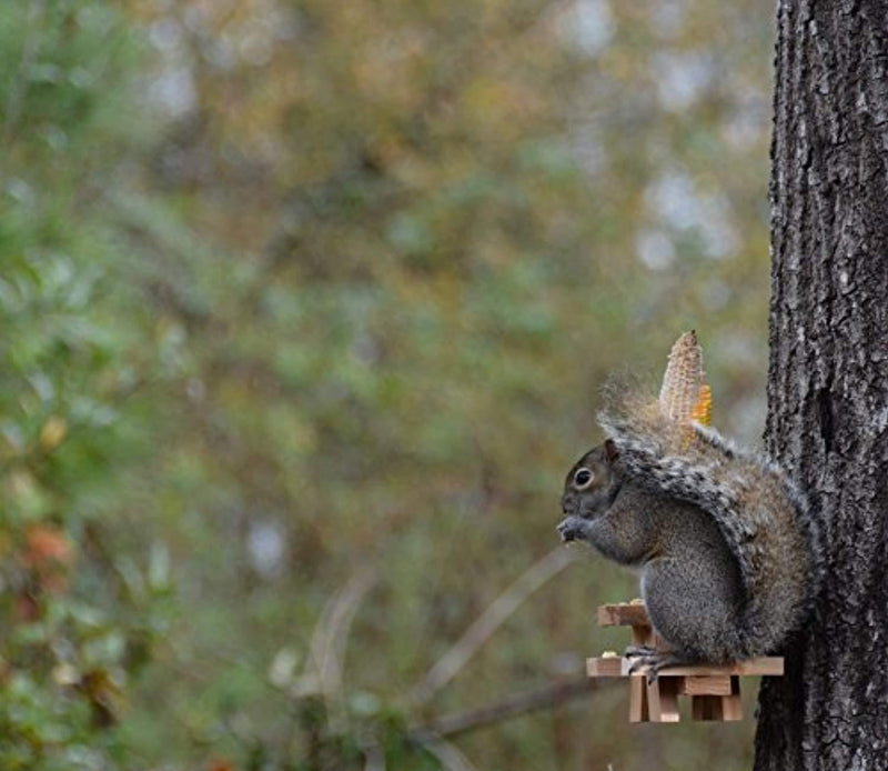 Picnic Table Squirrel Feeder