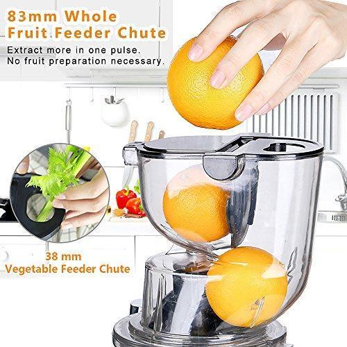 Aobosi Slow Masticating Juicer Extractor Compact Cold Press Juicer Machine with Portable Handle/Quiet Motor/Reverse Function/Juice Jug and Clean Brush for High Nutrient Fruit & Vegetable Juice