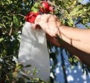 AllwaySmart 100 Reusable Fabric Fruit Protection Bags Insect Barrier 7" x 9 1/2" Prevent Birds Bugs Flies. Easy Install with Twist Wire