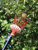 7Penn Apple Picking Fruit Tree Picker Tool with Metal Basket and Light Aluminum 4.5 to 13’ Feet Telescoping Grabber Pole