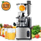 Aobosi Slow Masticating Juicer Extractor Compact Cold Press Juicer Machine with Portable Handle/Quiet Motor/Reverse Function/Juice Jug and Clean Brush for High Nutrient Fruit & Vegetable Juice