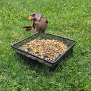 Gray Bunny GB-6889 Ground Bird Feeder Tray for Feeding Birds That Feed Off The Ground ! Durable and Compact Platform Bird Feeder Dish Size 7 x 7 x 2 inches